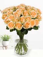 30 zalmkleurige rozen - Avalanche Peach