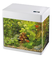 Superfish Panorama 50 LED wit