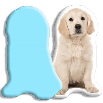Kleur Achterzijde: - Pillow Buddies