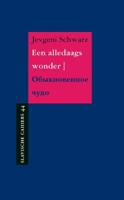 Een alledaags wonder (Paperback)