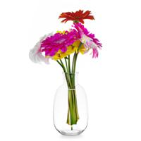 Giftdecor Bloemenvaas Crystal - luxe deco glas - helder transparant - D21 x H36 cm - ovale bol vaas