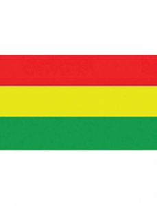 Vlag Carnaval 150x90cm rood/geel/groen