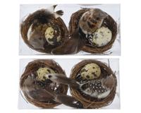 Vogelnest ver.drd l l7b7 ntrl a2 set van 2 Decoris - Decoris