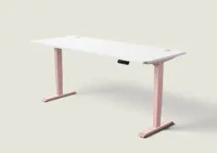 Desktronic HomePro bureau Zachtroze / Wit / 200x80 cm