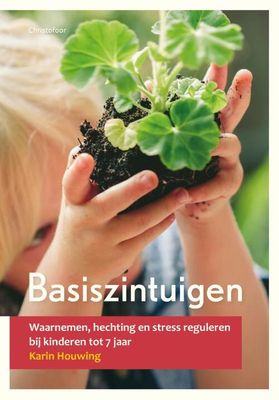 Basiszintuigen - Karin Houwing - Paperback (9789060387665) Basiszintuigen - Karin Houwing - Paperback (9789060387665)