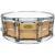 WorldMax Bronze Shell Series 14x5 inch Snare Drum