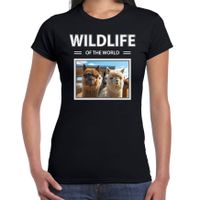 Alpaca t-shirt met dieren foto wildlife of the world zwart voor dames