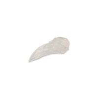 Kristallen Schedel Bergkristal Raaf - 12 cm Kristallen Schedel Bergkristal Raaf - 12 cm
