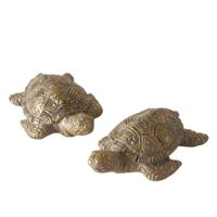 Boltze Home figuur schildpad 4x6x2,5cm