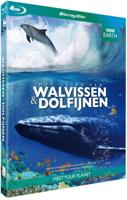 BBC Earth - Walvissen & Dolfijnen