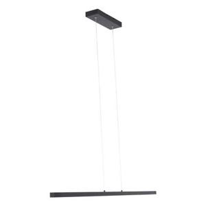 Mexlite Hanglamp Danske 2745ZW Zwart