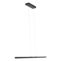 Mexlite Hanglamp Danske 2745ZW Zwart