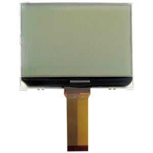 Display Elektronik LC-display RGB 240 x 64 Pixel (b x h x d) 144.90 x 56.40 x 6.5 mm DEM240064BFGH-PRGB