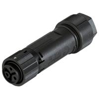 Wieland Electric 46.031.4453.1 Steekverbinder
