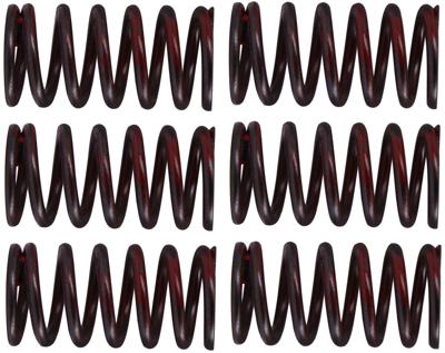 TRW koppelingsveren set clutch spring kit mef320-6