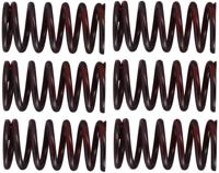 TRW koppelingsveren set clutch spring kit mef320-6