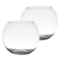 Bol vaas/terrarium vaas - Set van 2x stuks - D20 x H15 cm - glas - transparant