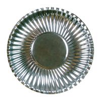 10x Metallic zilveren wegwerp bordjes 23 cm   - - thumbnail