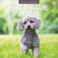 Toy en Miniatuur Poedel Kalender 2026