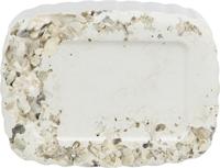 Trixie Piksteen met schelpen mineralen en mosselen - thumbnail