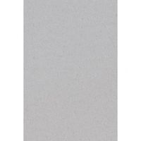2x Feest versiering licht zilver grijze tafelkleden 137 x 274 cm papier   -