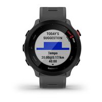 Garmin 010-02562-13 smartwatch / sport watch MIP 42 mm Grijs GPS - thumbnail