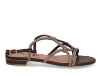 Bibi Lou 859Z00HG marron Bruin maat 36