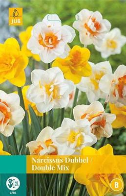Narcissus Dubbel Mix 4 bollen - Jub