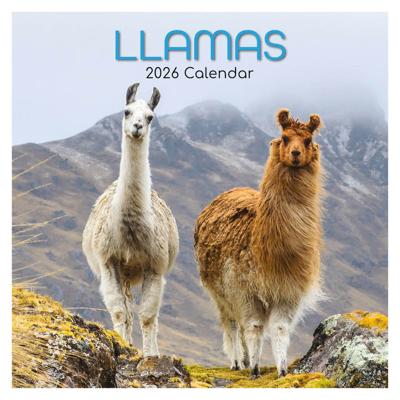 Lama&apos;s Kalender 2026