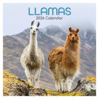 Lama&apos;s Kalender 2026