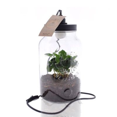 Maxi Jungle met lamp