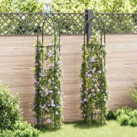 VidaXL Tuinboogtorens 2 st VidaXL Tuinboogtorens 2 st