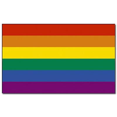 Regenboog kleuren vlag - 90 x 150 cm - polyester - met ringen