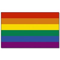 Regenboog kleuren vlag - 90 x 150 cm - polyester - met ringen Regenboog kleuren vlag - 90 x 150 cm - polyester - met ringen