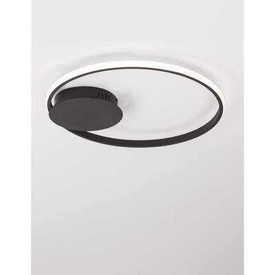 Lyora Ronde plafondlampFuline zwart Ø 50cm - 9348073