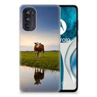 Motorola Moto G52/G82 | TPU Hoesje | Koe