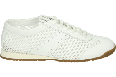 Hogl 101148 KAI - alle