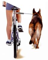 Camon walky dog fietsbeugel 60x3x3 cm - thumbnail