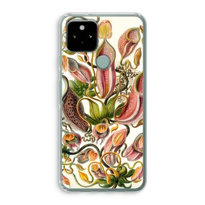 Haeckel Nepenthaceae: Google Pixel 5 Transparant Hoesje