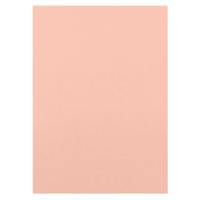 Craft Perfect By Tonic Studios Craft perfect • klassieke kaart a4 10pcs bubblegum pink