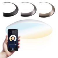 Smart plafondlamp - Bulkhead - 18 Watt - 1800 lumen - Ø30cm - IP65 waterdicht - CCT White ambience - Wifi + Bluetooth - Google Home, Amazon Alexa en Siri - RVS