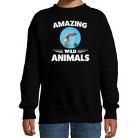 Sweater dolfijnen amazing wild animals / dieren trui zwart voor kinderen - thumbnail