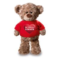 Knuffel teddybeer - ik vind je lekker - 24 cm - pluche - met shirt