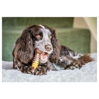 Nylabone Nylabone Extreme Chew Textured Bone Beef & Cheese XL