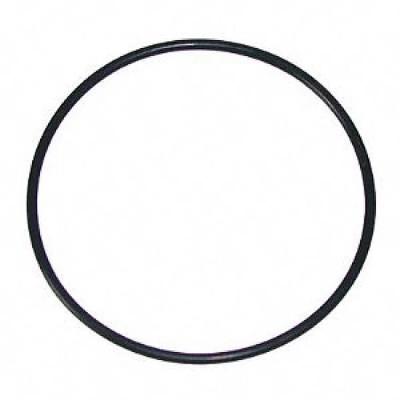 Aquaforte O-Ring Voor Pomphuis RD802 & RD804