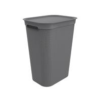 Rotho Brisen Wasbox 50L antraciet