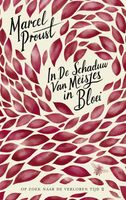 In de schaduw van meisjes in bloei - Marcel Proust - ebook - thumbnail
