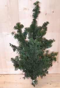 Kerstgroen Nobilis groen Warentuin Natuurlijk