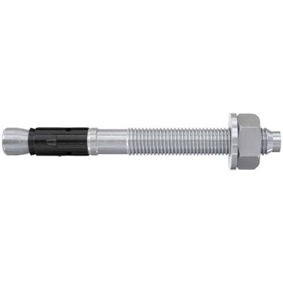 Fischer 564577 FAZ II Plus 8/100 Boutanker 165 mm 8 mm 25 stuk(s) Fischer 564577 FAZ II Plus 8/100 Boutanker 165 mm 8 mm 25 stuk(s)