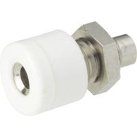 Schnepp Miniatuur-laboratoriumconnector Bus, inbouw verticaal Stift-Ø: 2.6 mm Wit 1 stuk(s) - thumbnail